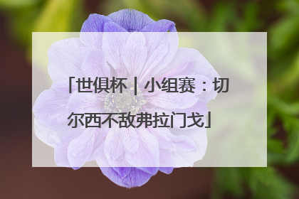 世俱杯｜小组赛：切尔西不敌弗拉门戈