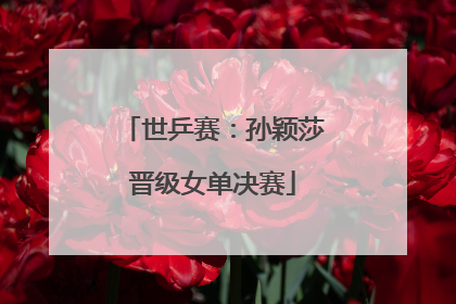 世乒赛：孙颖莎晋级女单决赛