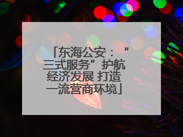 东海公安：“三式服务”护航经济发展 打造一流营商环境