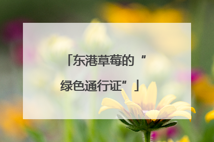 东港草莓的“绿色通行证”