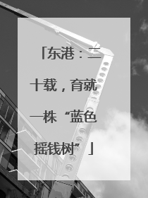 东港：二十载，育就一株“蓝色摇钱树”