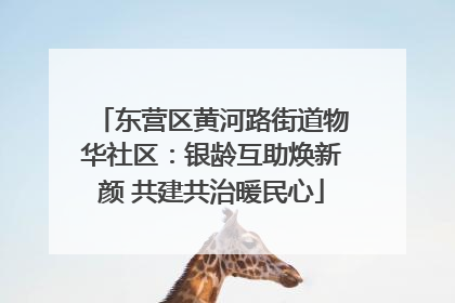 东营区黄河路街道物华社区：银龄互助焕新颜 共建共治暖民心