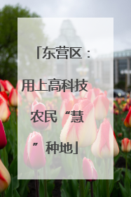 东营区：用上高科技 农民“慧”种地