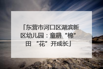 东营市河口区湖滨新区幼儿园：童耕“棉”田 “花”开成长