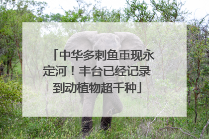 中华多刺鱼重现永定河！丰台已经记录到动植物超千种