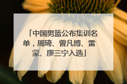 中国男篮公布集训名单，周琦、曾凡博、雷蒙、廖三宁入选