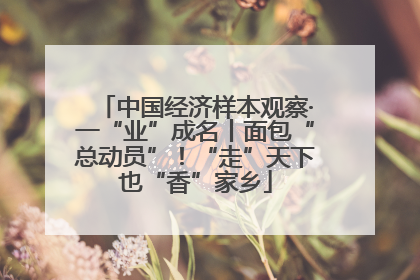 中国经济样本观察·一“业”成名丨面包“总动员”！“走”天下也“香”家乡