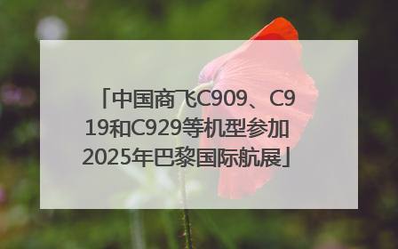 中国商飞C909、C919和C929等机型参加2025年巴黎国际航展