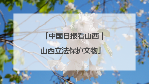 中国日报看山西｜山西立法保护文物