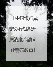 中国银行咸宁分行组织开展清廉金融文化警示教育