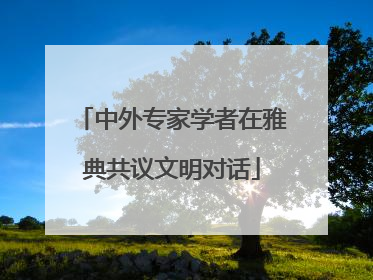 中外专家学者在雅典共议文明对话