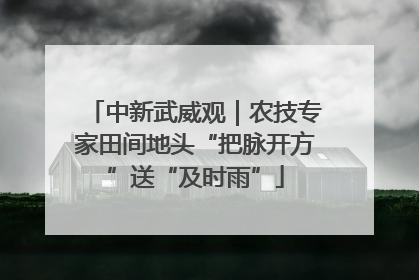 中新武威观｜农技专家田间地头“把脉开方”送“及时雨”