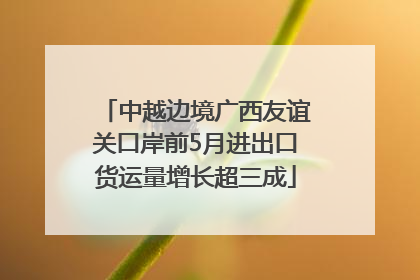 中越边境广西友谊关口岸前5月进出口货运量增长超三成