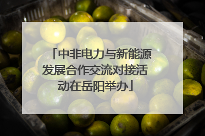 中非电力与新能源发展合作交流对接活动在岳阳举办