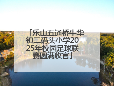 乐山五通桥牛华镇二码头小学2025年校园足球联赛圆满收官