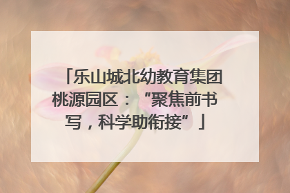 乐山城北幼教育集团桃源园区：“聚焦前书写，科学助衔接”