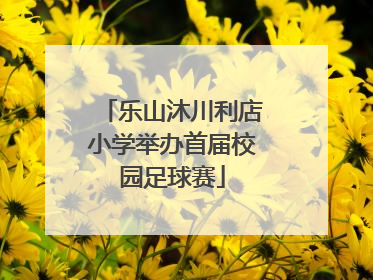 乐山沐川利店小学举办首届校园足球赛