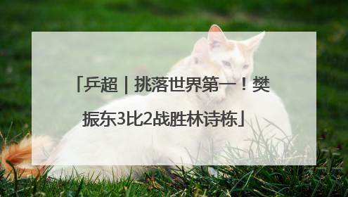 乒超｜挑落世界第一！樊振东3比2战胜林诗栋