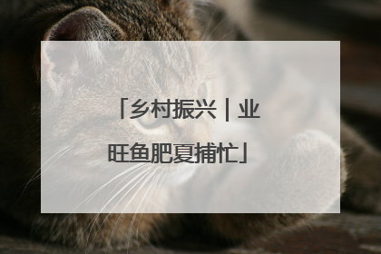 乡村振兴｜业旺鱼肥夏捕忙
