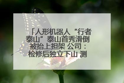 人形机器人“行者泰山”泰山首秀滑倒被抬上担架 公司：检修后独立下山 测试就是为暴露问题