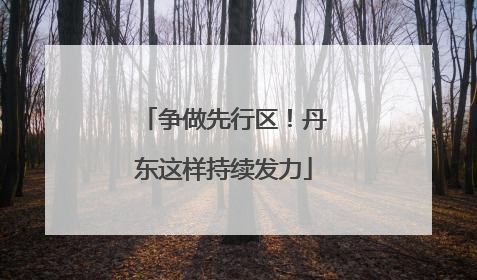争做先行区！丹东这样持续发力