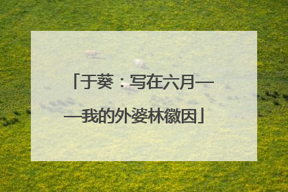 于葵：写在六月——我的外婆林徽因