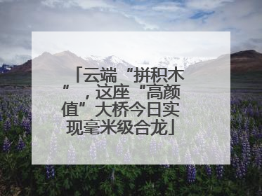 云端“拼积木”，这座“高颜值”大桥今日实现毫米级合龙