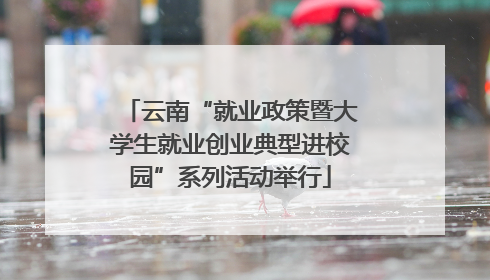 云南“就业政策暨大学生就业创业典型进校园”系列活动举行
