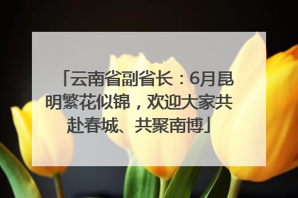云南省副省长：6月昆明繁花似锦，欢迎大家共赴春城、共聚南博
