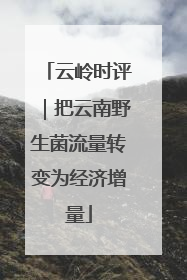云岭时评｜把云南野生菌流量转变为经济增量
