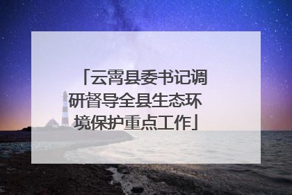 云霄县委书记调研督导全县生态环境保护重点工作