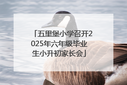 五里堡小学召开2025年六年级毕业生小升初家长会
