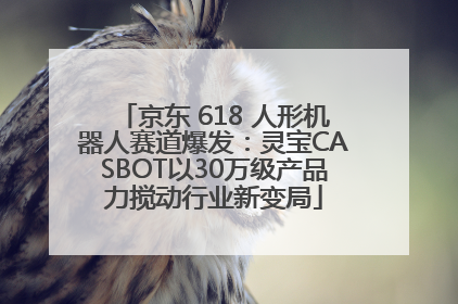京东 618 人形机器人赛道爆发：灵宝CASBOT以30万级产品力搅动行业新变局