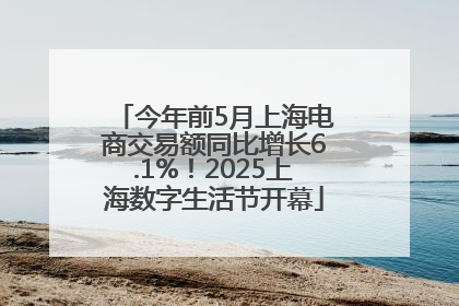 今年前5月上海电商交易额同比增长6.1%！2025上海数字生活节开幕