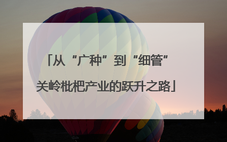 从“广种”到“细管” 关岭枇杷产业的跃升之路