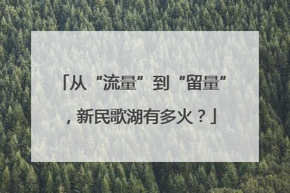 从“流量”到“留量”，新民歌湖有多火？