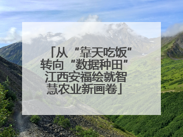 从“靠天吃饭”转向“数据种田” 江西安福绘就智慧农业新画卷