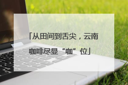 从田间到舌尖，云南咖啡尽显“咖”位