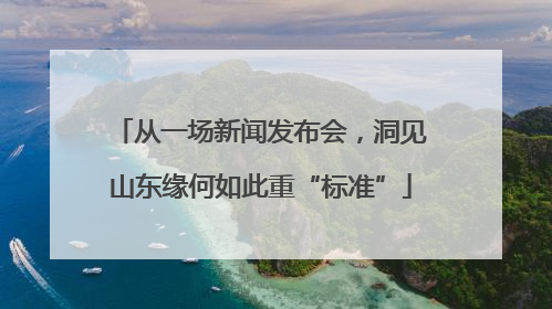从一场新闻发布会，洞见山东缘何如此重“标准”