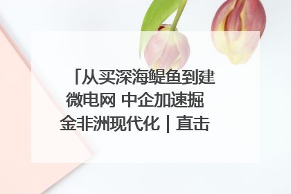 从买深海鳀鱼到建微电网 中企加速掘金非洲现代化｜直击中非经贸博览会