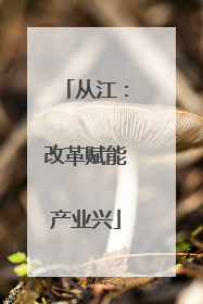 从江：改革赋能产业兴
