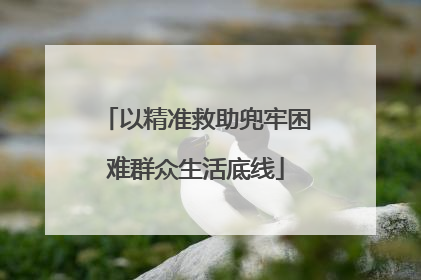 以精准救助兜牢困难群众生活底线