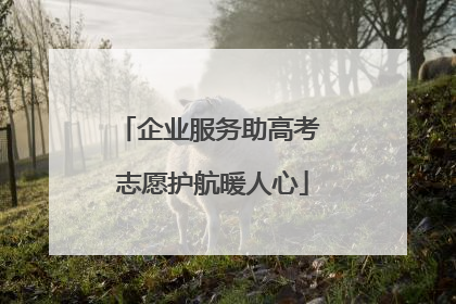 企业服务助高考 志愿护航暖人心