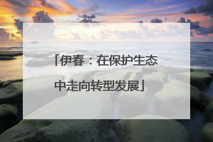 伊春：在保护生态中走向转型发展