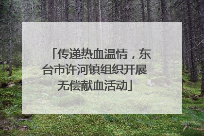 传递热血温情，东台市许河镇组织开展无偿献血活动