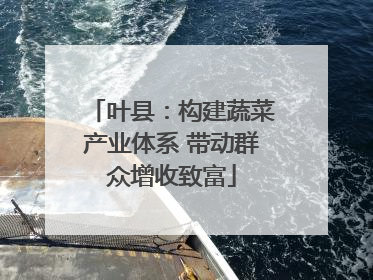 叶县：构建蔬菜产业体系 带动群众增收致富