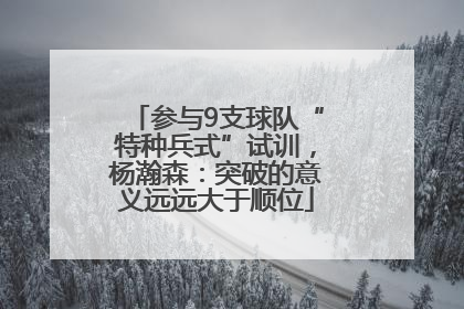 参与9支球队“特种兵式”试训，杨瀚森：突破的意义远远大于顺位