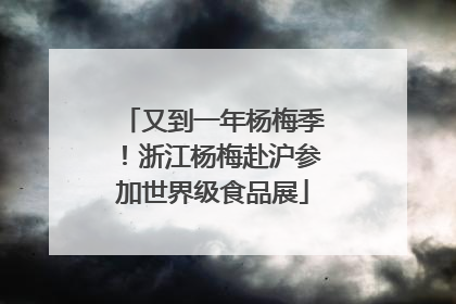 又到一年杨梅季！浙江杨梅赴沪参加世界级食品展