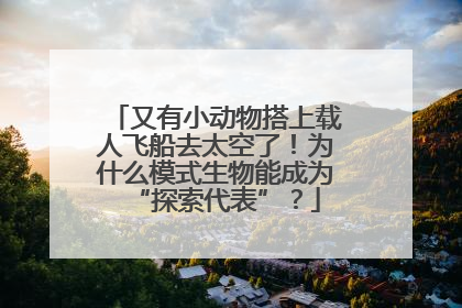 又有小动物搭上载人飞船去太空了！为什么模式生物能成为“探索代表”？