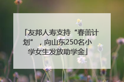 友邦人寿支持“春蕾计划”，向山东250名小学女生发放助学金